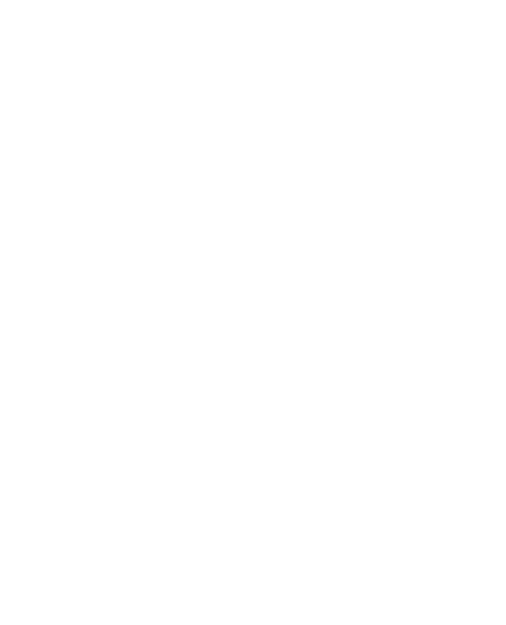 forma geometrica